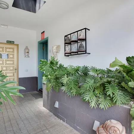 Apartamento Estudio