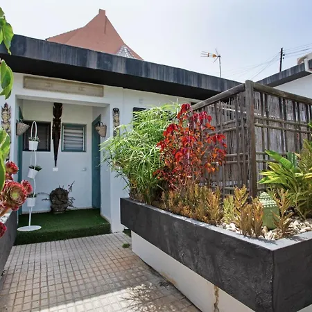 Estudio Lejlighed La Laguna (Tenerife)