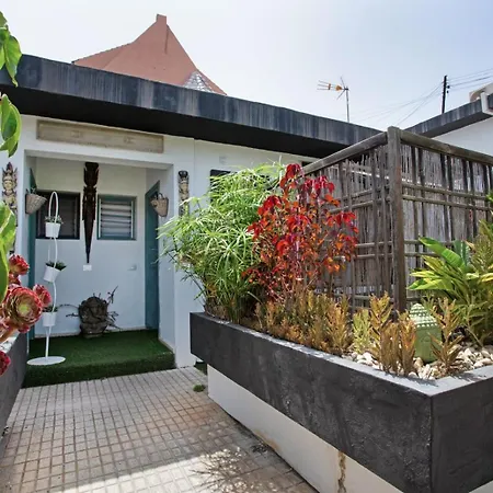Estudio Apartamento La Laguna (Tenerife)
